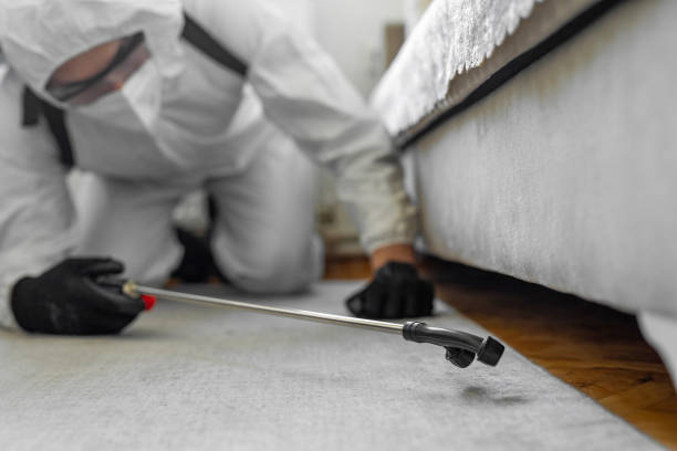 Professional Pest Control technician working in Harbor, OR