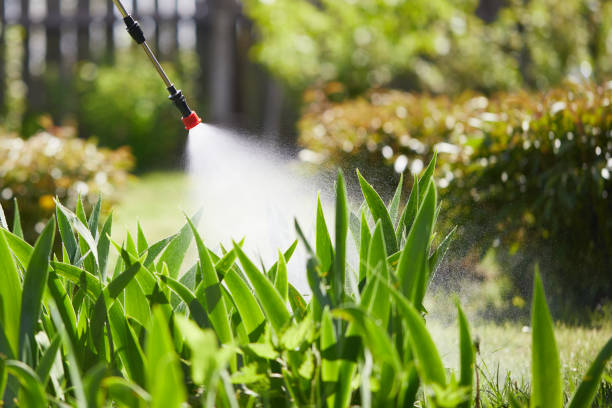 24/7 Emergency Pest Control experts in Harbor, OR