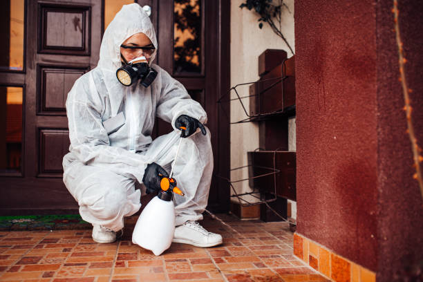 Reliable Pest Control contractor in Harbor, OR by Nex Pest Control