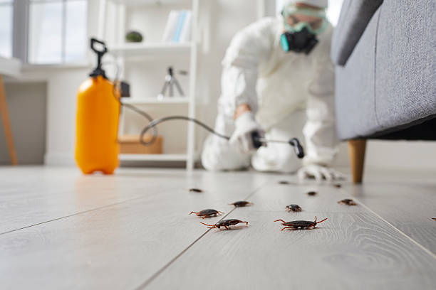 Affordable Pest Control solutions in Harbor, OR