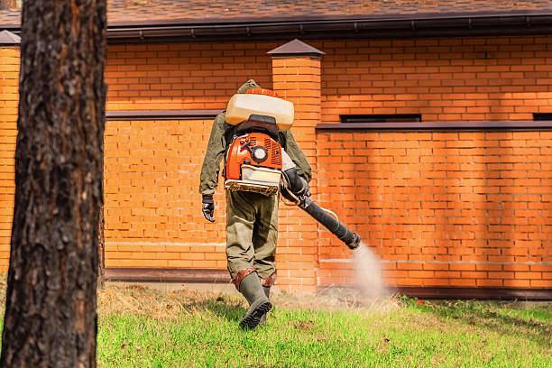 Top rated local Pest Control specialists in Harbor, OR